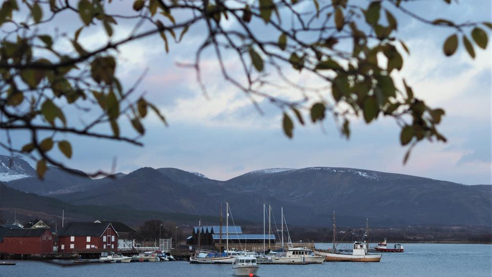 Lenke til artikkel: Vesterålsrådet søker sekretariatsleder