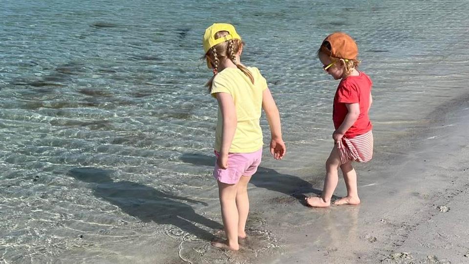Lenke til artikkel: Forsinket faktura for august
